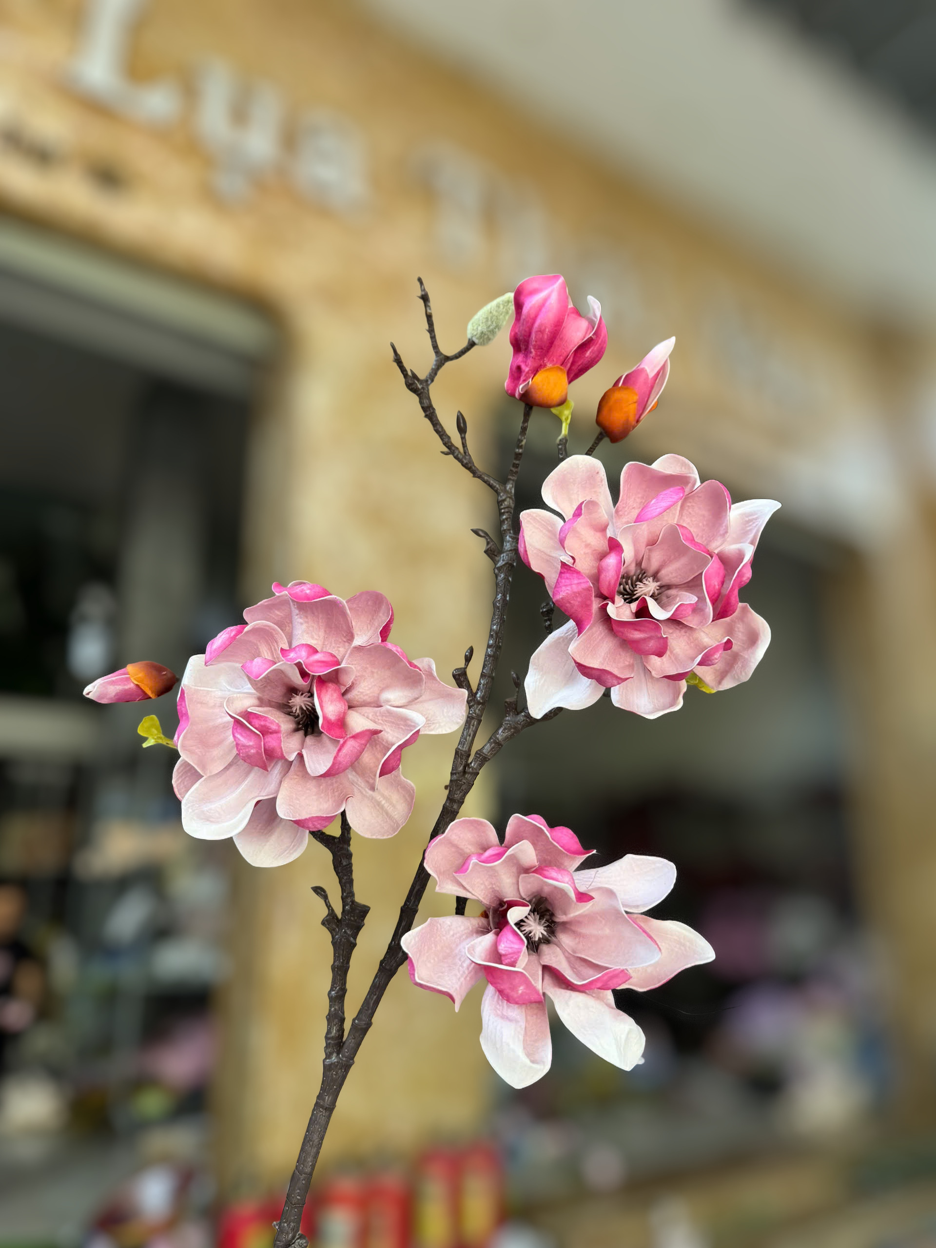 Cành Mộc Lan cánh xốp 70cm hàng VIP1