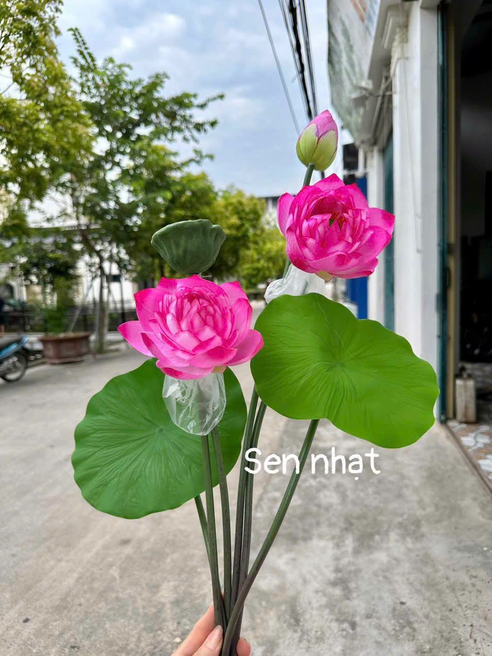 Cụm Sen lụa 6 chi tiết mẫu cao cấp 70cm - ảnh 3