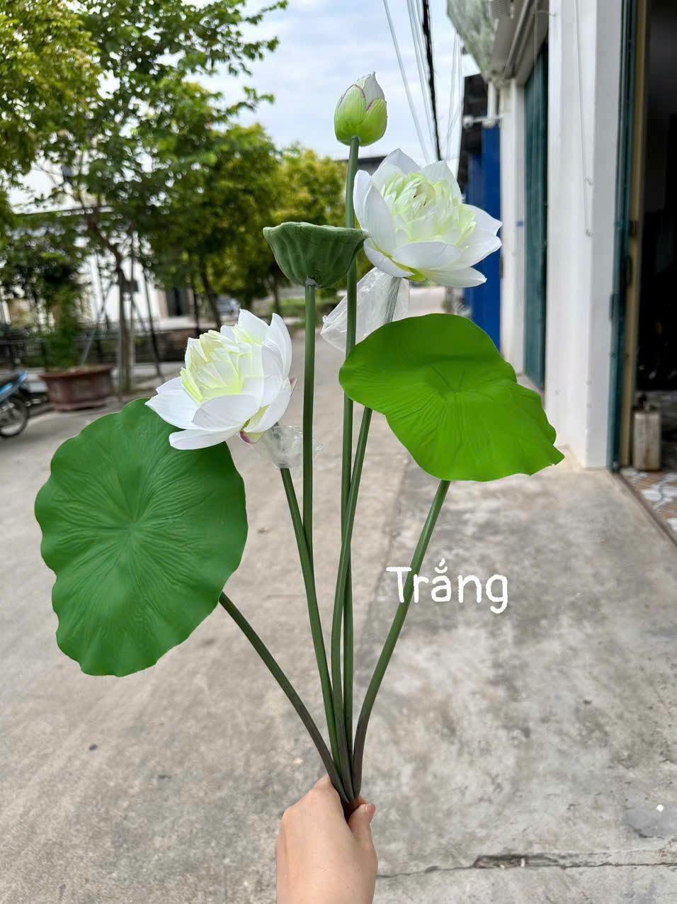 Cụm Sen lụa 6 chi tiết mẫu cao cấp 70cm - ảnh 2